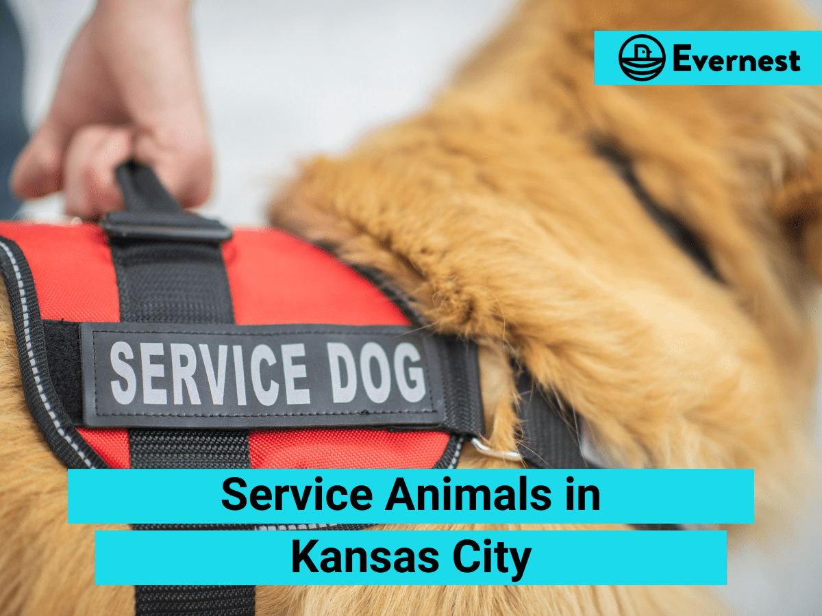 Service Animals: Everything Landlords Need to Know in Kansas City, Missouri